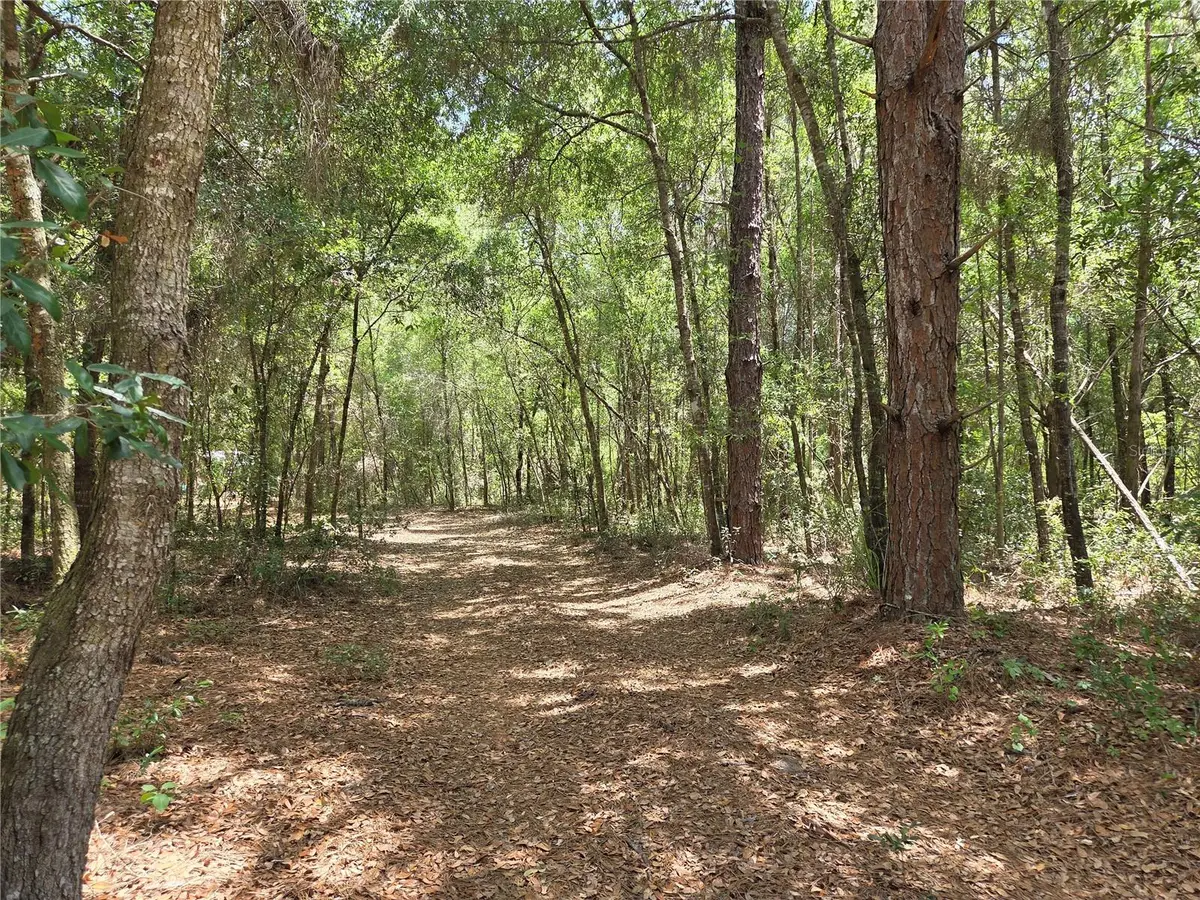 11953 N Glenview Avenue, Dunnellon, FL 34434 - #1