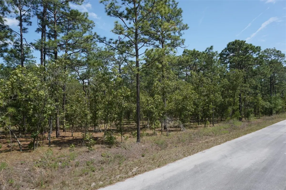 TBD NW Tree Top Road, Dunnellon, FL 34431 - #1