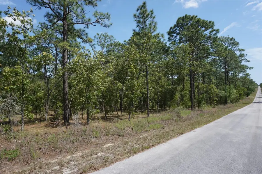 TBD NW Tree Top Road, Dunnellon, FL 34431 - #2