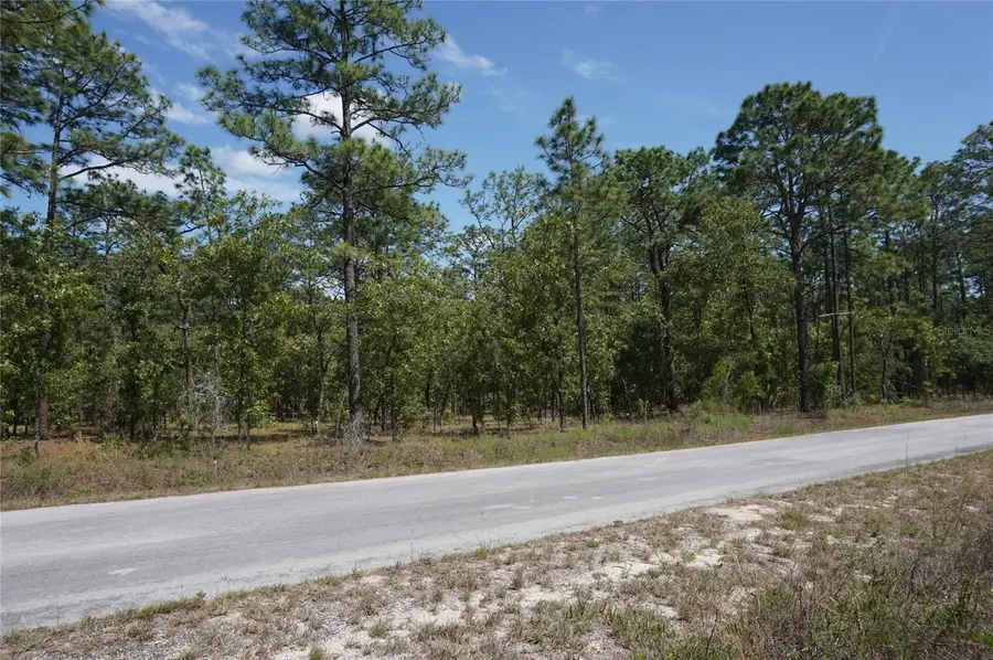 TBD NW Tree Top Road, Dunnellon, FL 34431 - #3