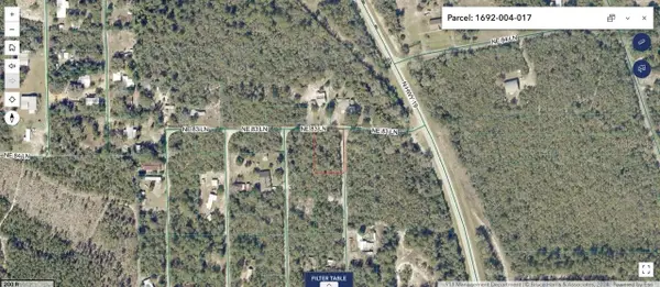 NE 306th Terrace, SALT SPRINGS, FL 32134