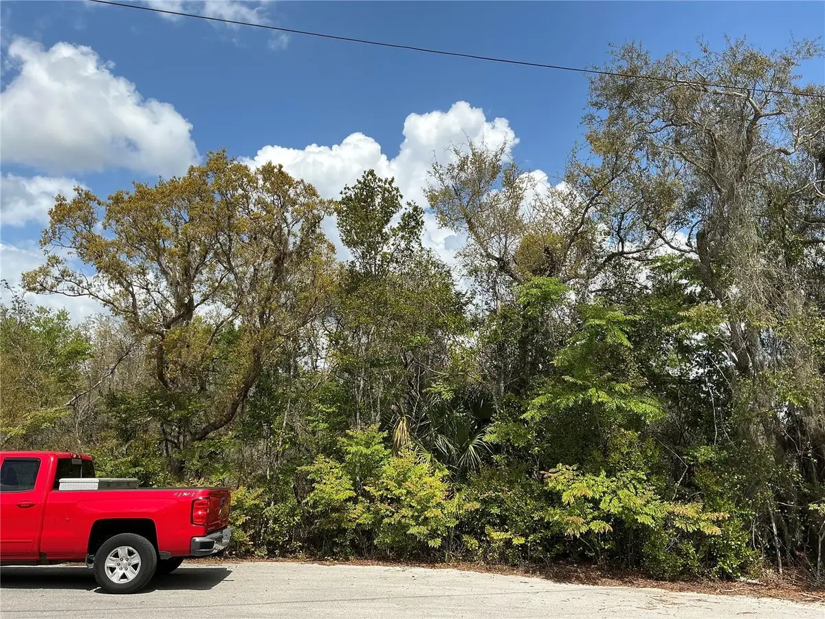 Ash Pass Run, Ocala, FL 34472 - #1