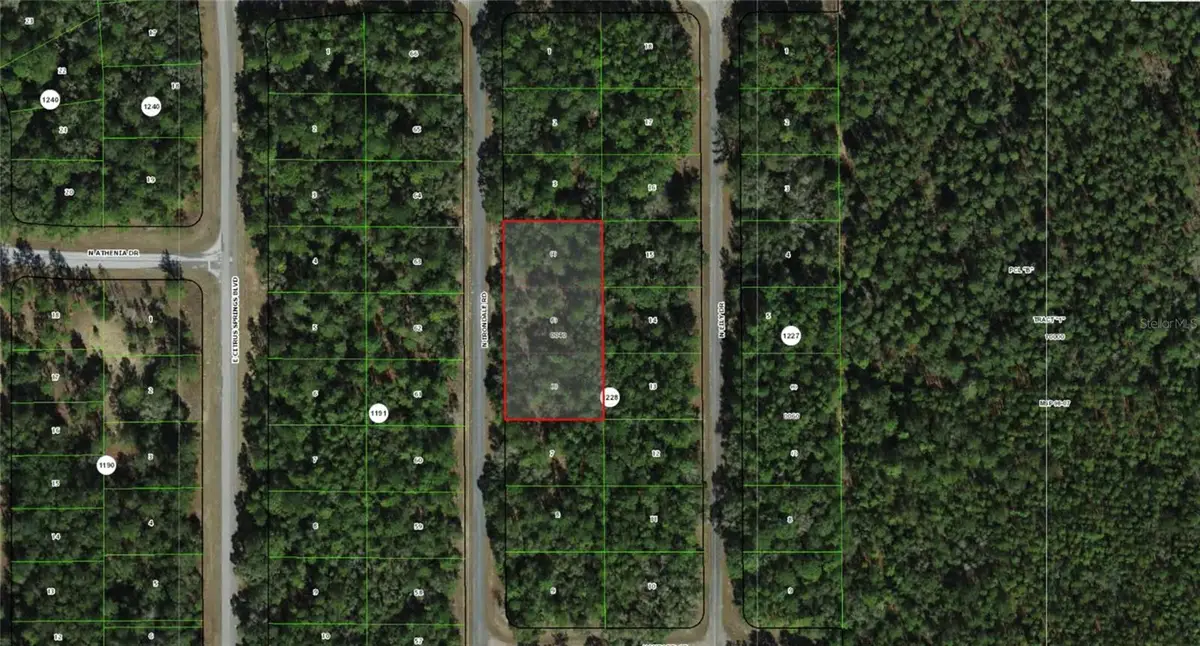 9285 N Irondale Road, Dunnellon, FL 34434 - #1