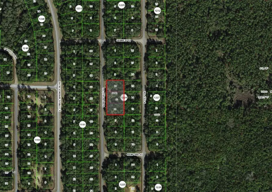 9285 N Irondale Road, Dunnellon, FL 34434 - #2