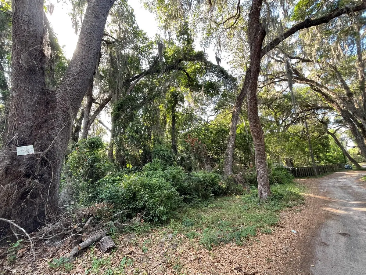 NE 37th Court, Citra, FL 32113 - #1