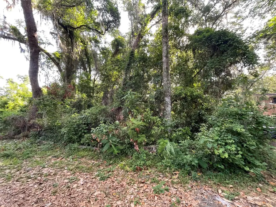 NE 37th Court, Citra, FL 32113 - #2