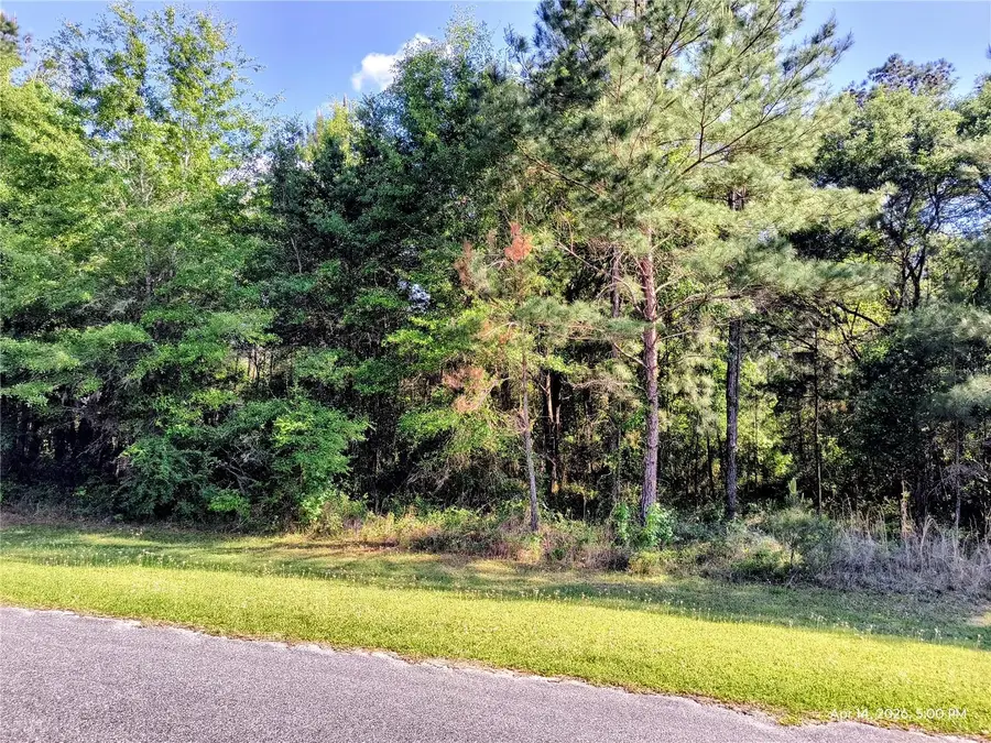 TBD NW 142nd Street, Williston, FL 32696 - #2