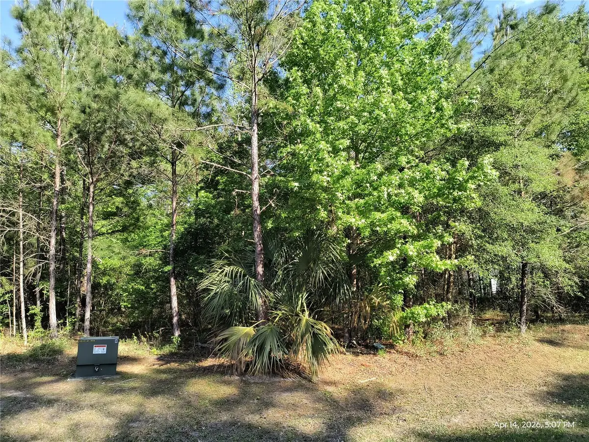 TBD NW 141st Avenue, Williston, FL 32696 - #1