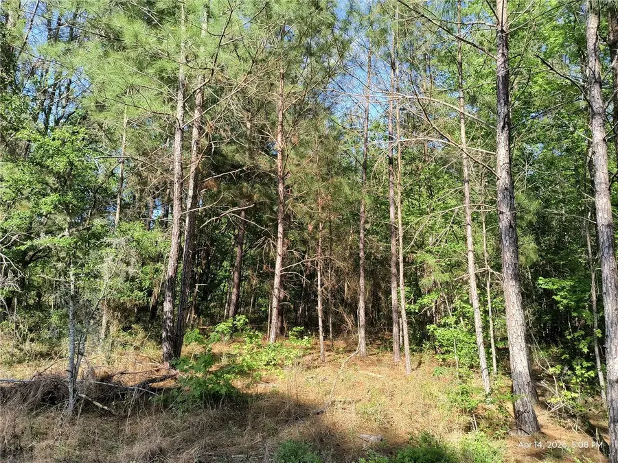 TBD NW 141st Avenue, Williston, FL 32696 - #2