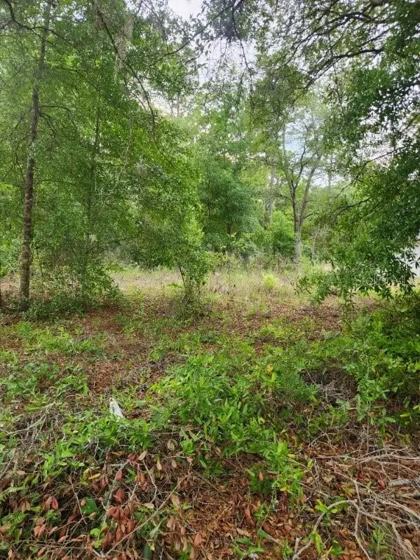 00 Marion Oaks Pass, Ocala, FL 34473 - #2