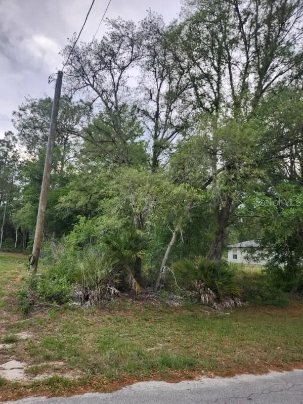 00 Marion Oaks Pass, Ocala, FL 34473 - #3