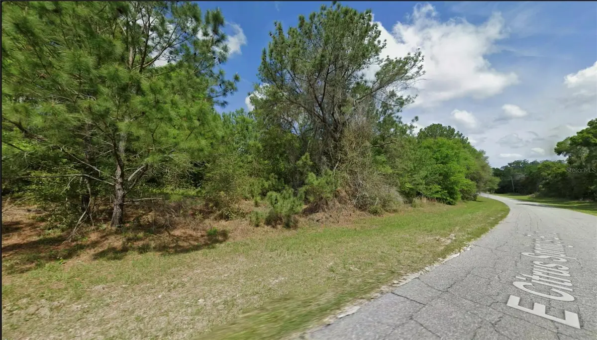 325 E Citrus Springs Boulevard, Citrus Springs, FL 34434 - #1