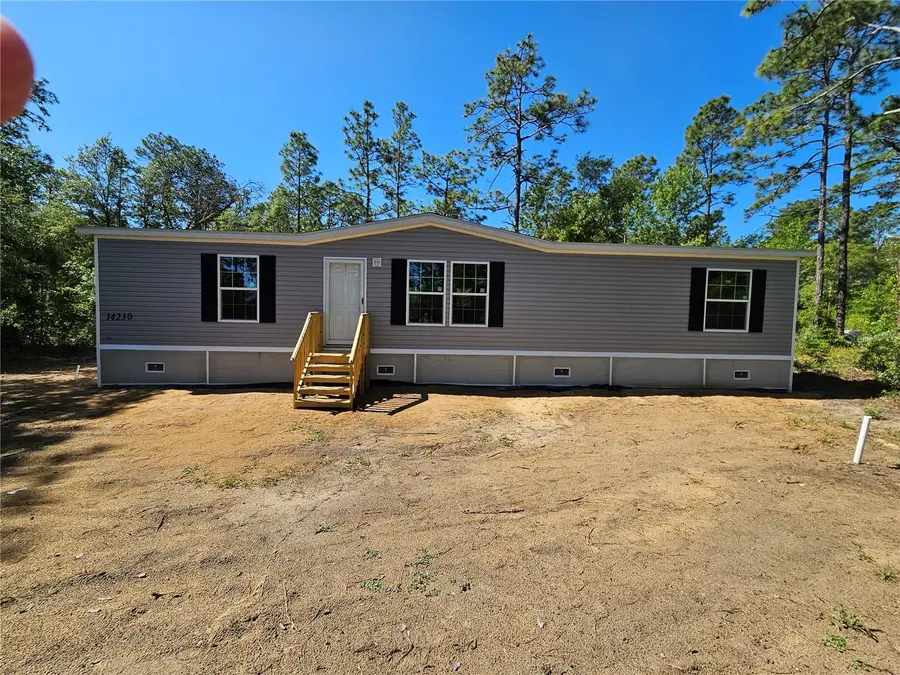 14230 SE 20th Street, Morriston, FL 32668 - #2