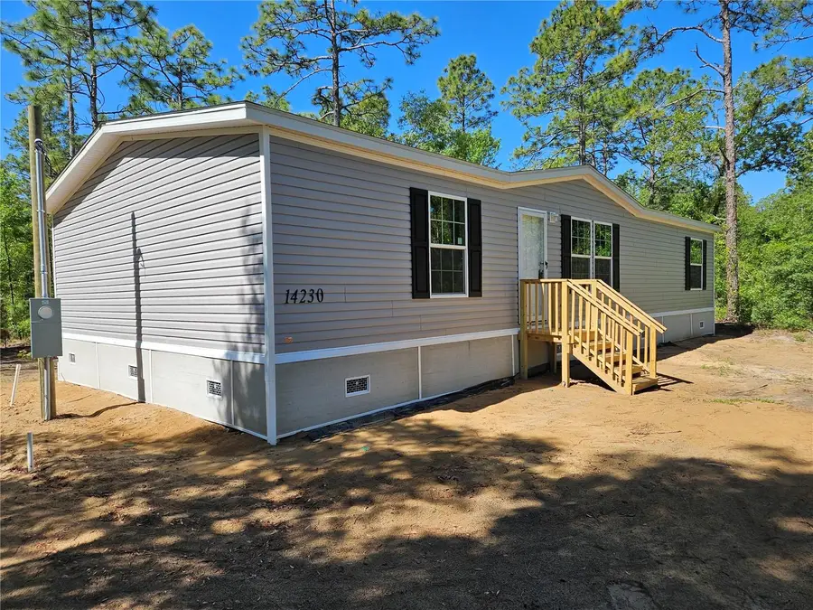 14230 SE 20th Street, Morriston, FL 32668 - #3