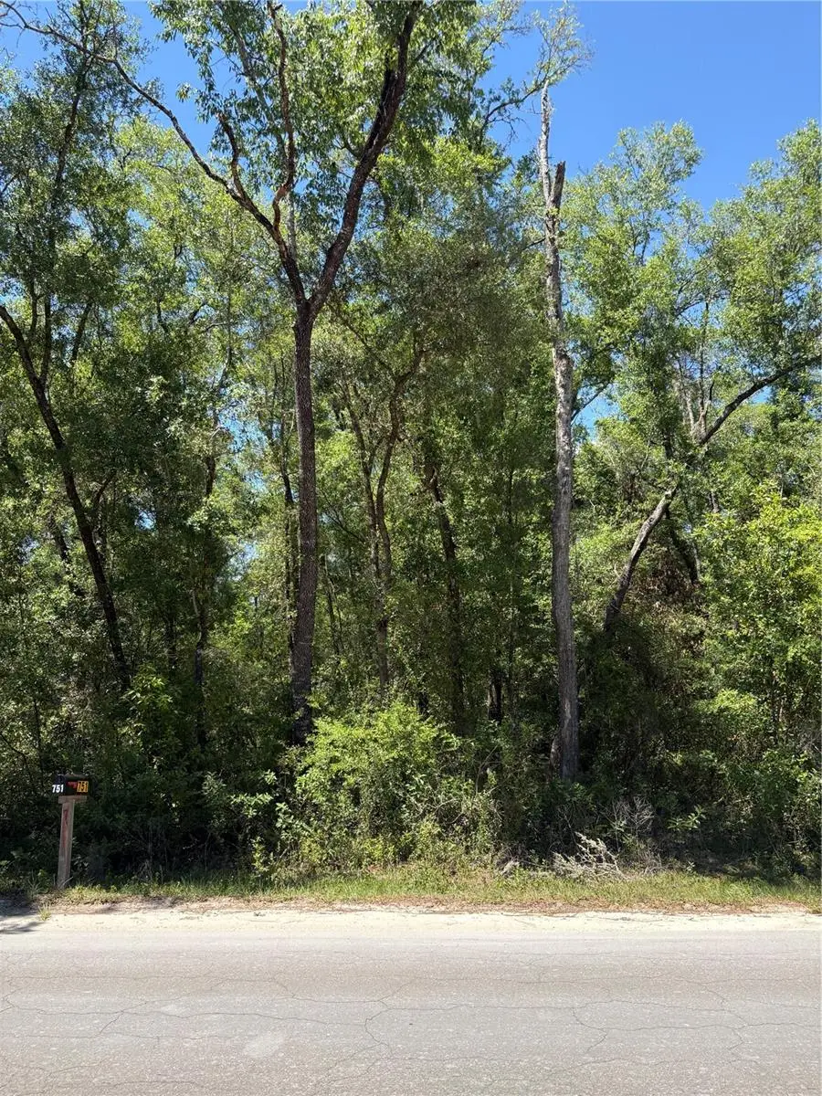 Ne 7th Place, Williston, FL 32696 - #1