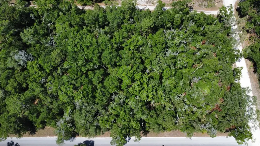Ne 7th Place, Williston, FL 32696 - #2