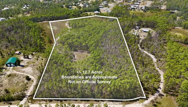 Key Deer Ct,, PERRY, FL 32348