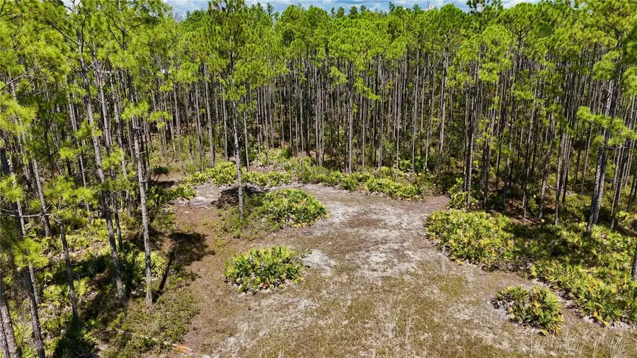 Key Deer Ct,, Perry, FL 32348 - #3