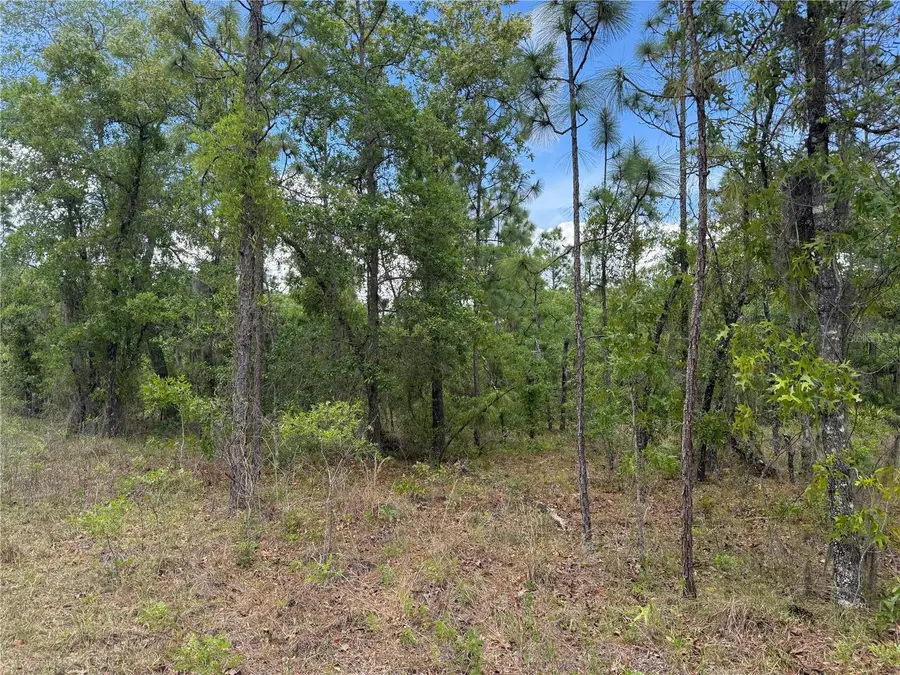 00 Se 126th Terrace, Dunnellon, FL 34431 - #3