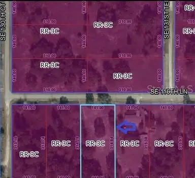 00 SE 116th Lane, Dunnellon, FL 34431 - #3