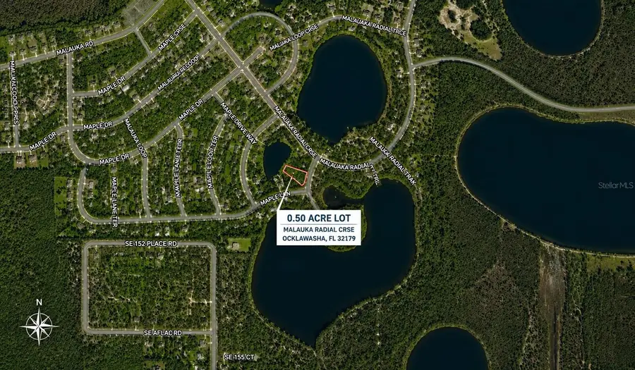 0 Malauka Radial Crse, Ocklawaha, FL 32179 - #3