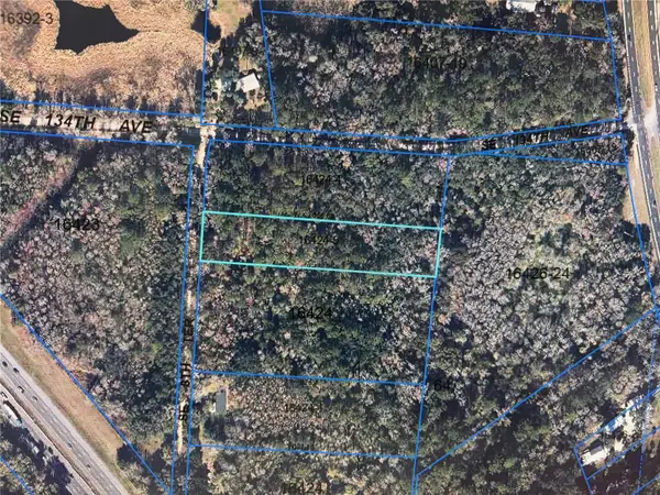 13607 SE 8th Terrace, MICANOPY, FL 32667