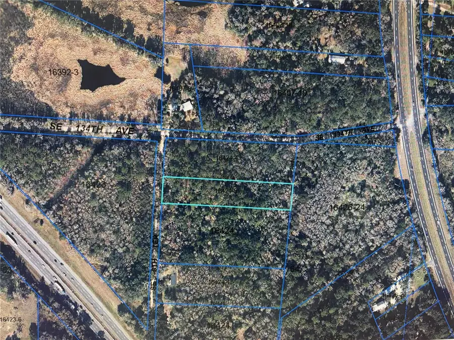 13607 SE 8th Terrace, Micanopy, FL 32667 - #2