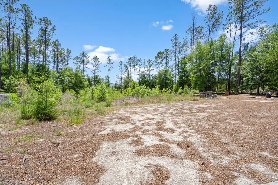 17950 SE 60th Lane, Morriston, FL 32668 - #3