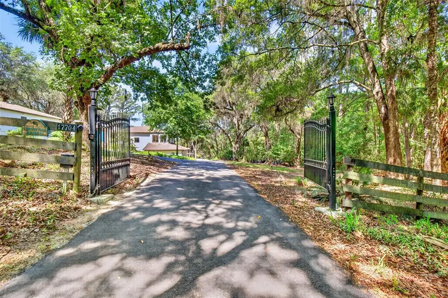 17704 SE 59th Street, Micanopy, FL 32667 - #3