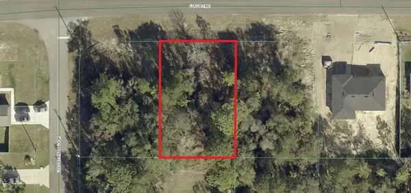 Locust Road, OCALA, FL 34472