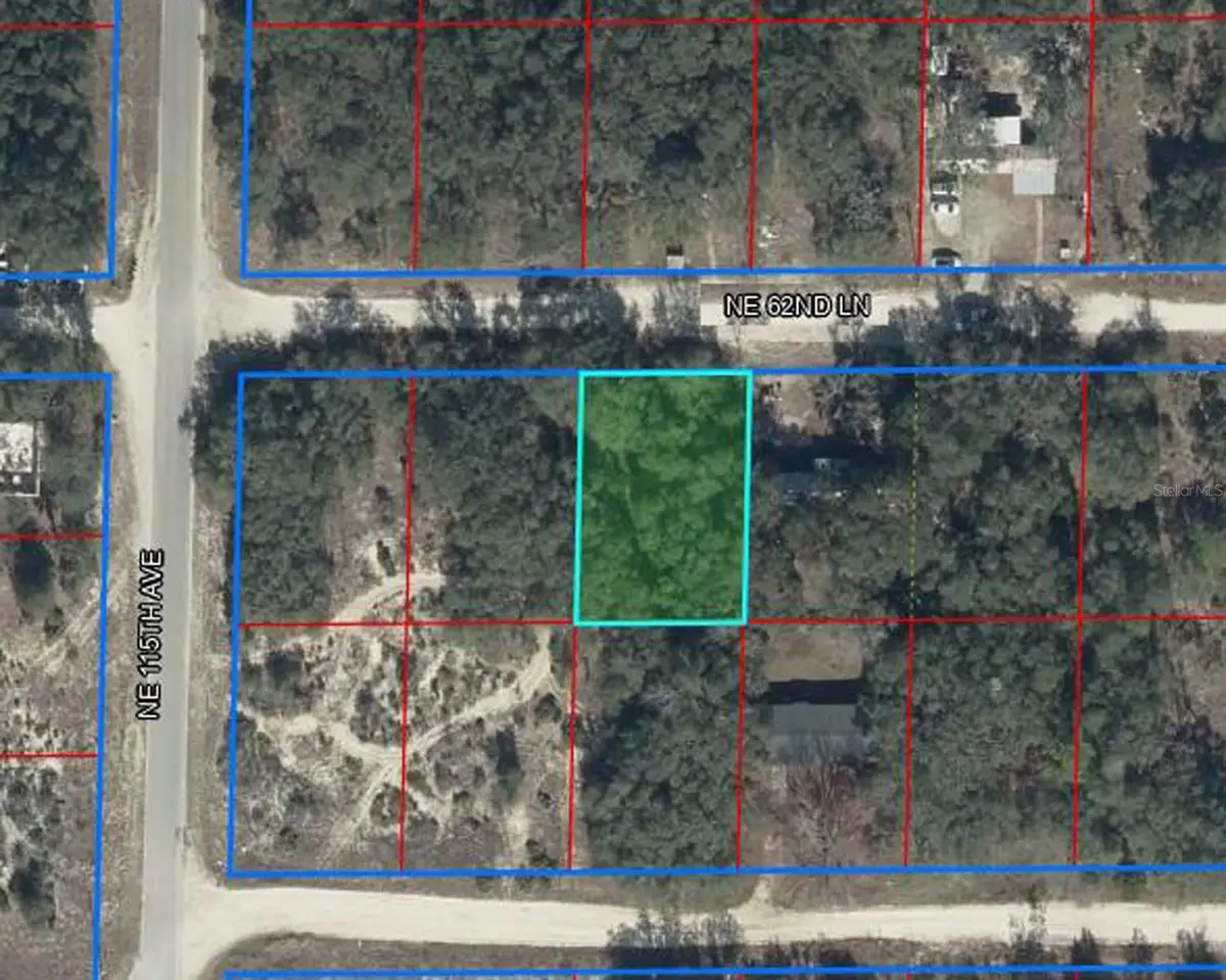 11548 NE 62nd Lane, Williston, FL 32696 - #1