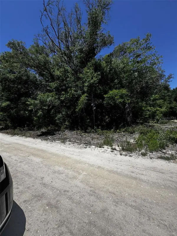 0 SW 104th Lane, DUNNELLON, FL 34432