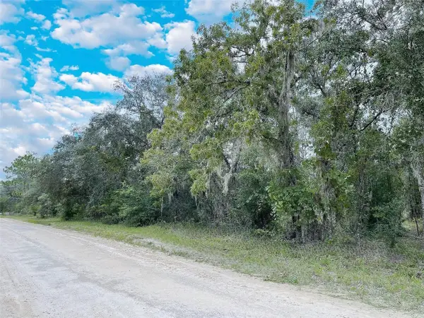 14250 SE 2nd Street, WILLISTON, FL 32696