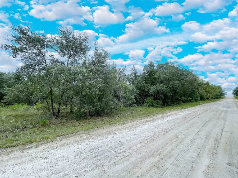 14250 SE 2nd Street, Williston, FL 32696 - #3