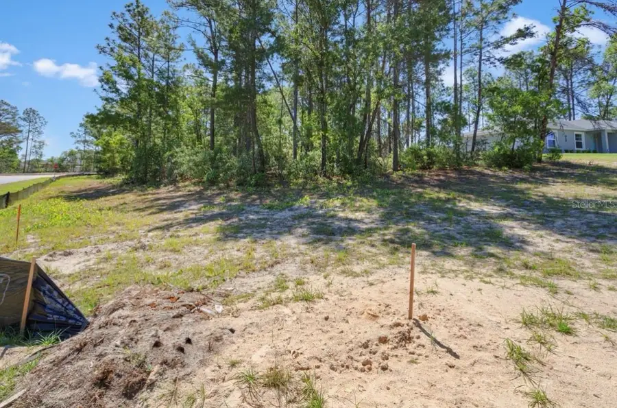 TBD SW 50th Avenue, Ocala, FL 34473 - #2