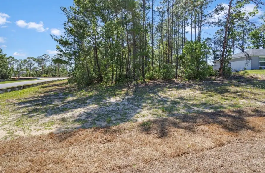 TBD SW 50th Avenue, Ocala, FL 34473 - #3