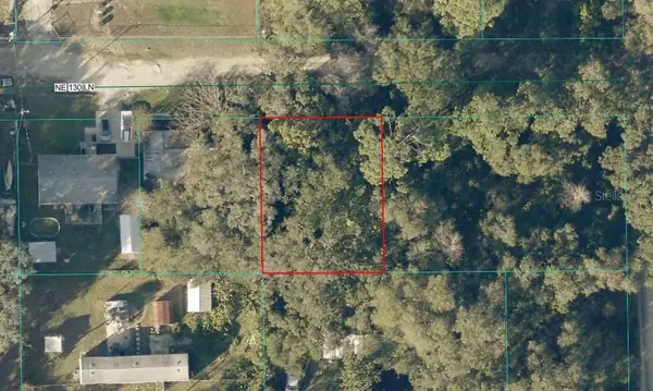 TBD LOT 34 NE 130th Lane, SALT SPRINGS, FL 32134