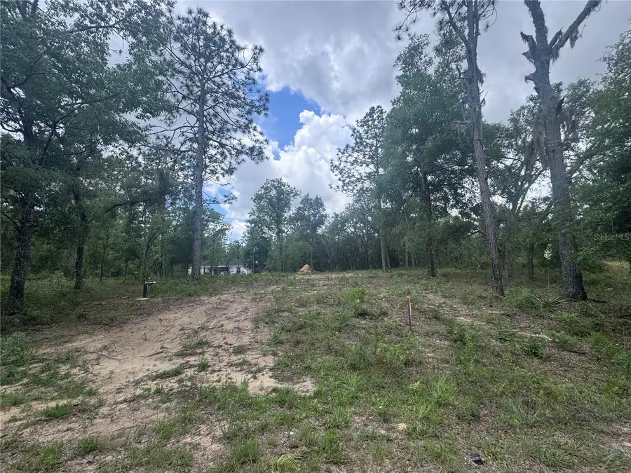 TBD NE 16th Place, Williston, FL 32696 - #2