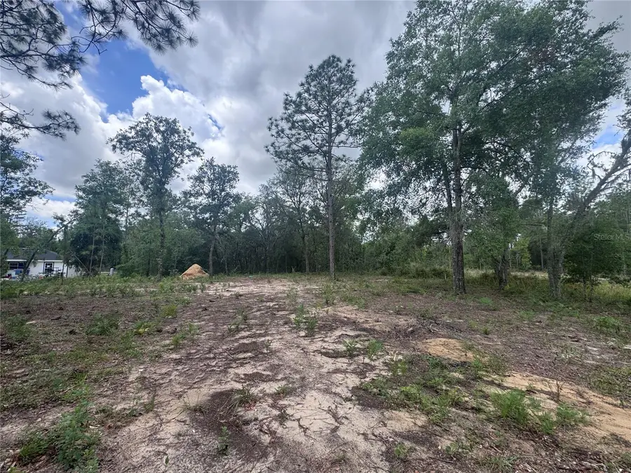 TBD NE 16th Place, Williston, FL 32696 - #3