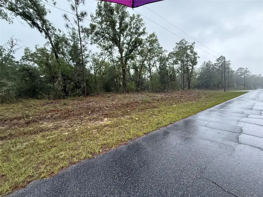 1900 W Magenta Drive, Dunnellon, FL 34434 - #2
