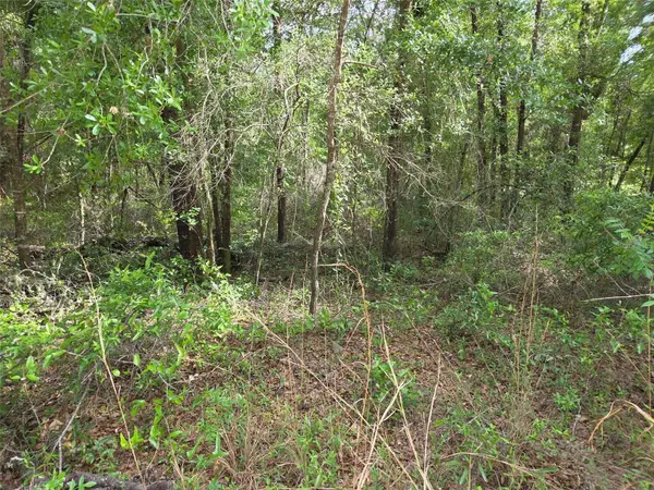 0000 NE 85th Street, BRONSON, FL 32621