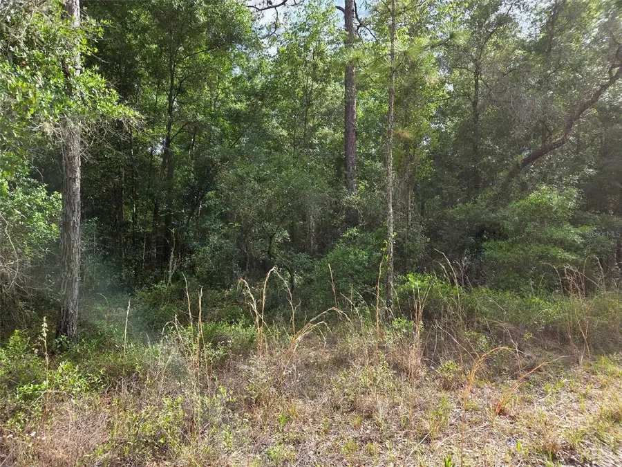 0000 NE 85th Street, Bronson, FL 32621 - #3