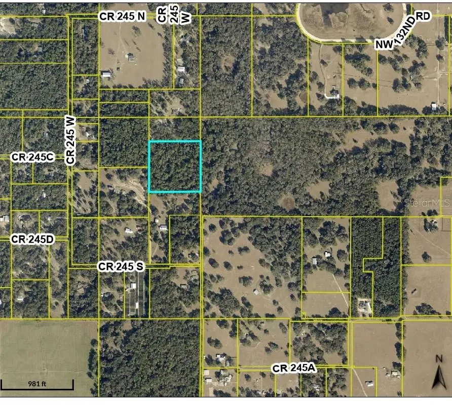 TBD County Road 245s, Oxford, FL 34484 - #1