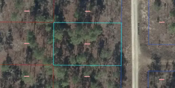 00 NE 151st Avenue, WILLISTON, FL 32696