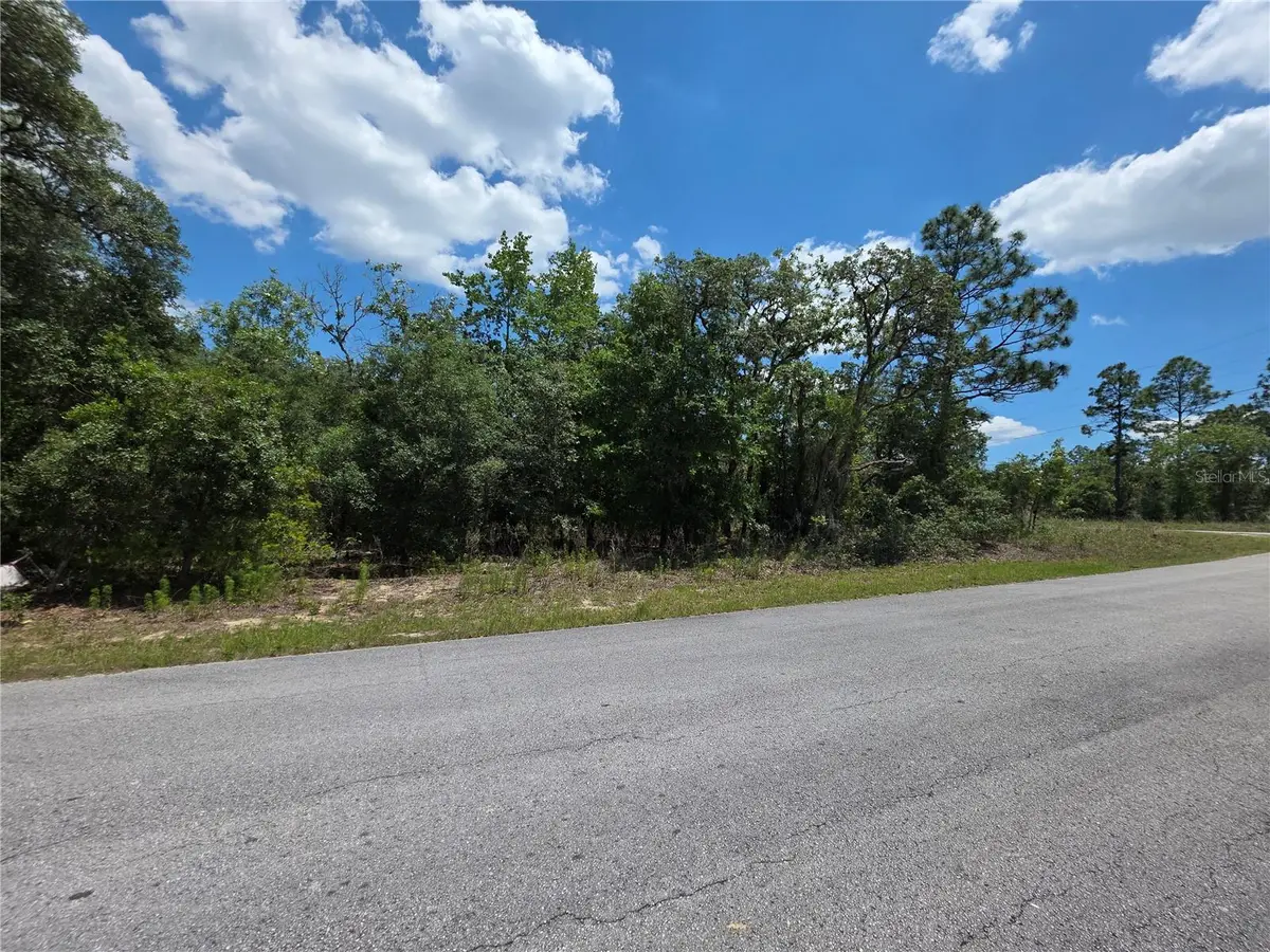 Lot 18 SW Wood Road, Dunnellon, FL 34431 - #1