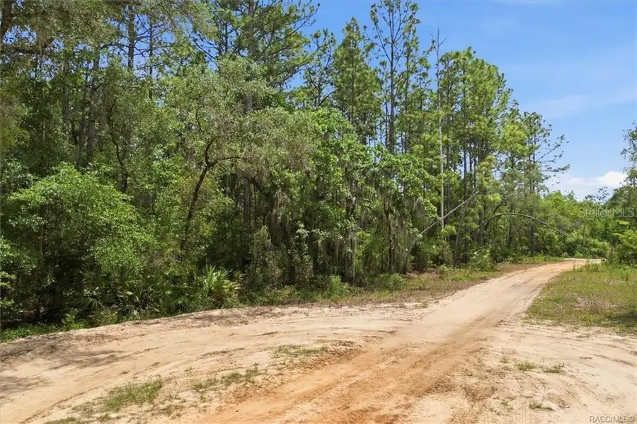 5267 N Lace Point, Dunnellon, FL 34433 - #2