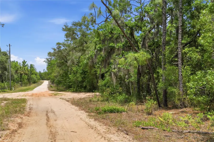 5339 N Lace Point, Dunnellon, FL 34433 - #2