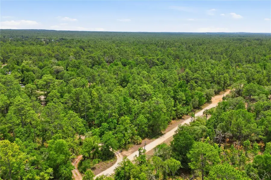 5339 N Lace Point, Dunnellon, FL 34433 - #3