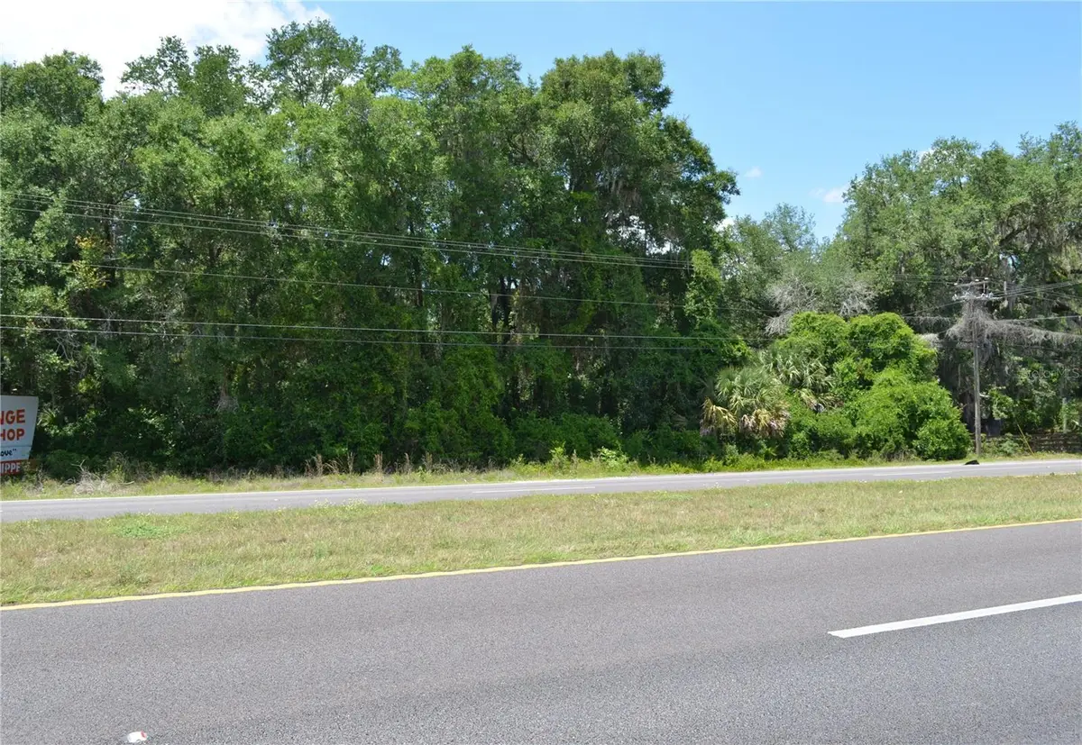 TBD N Us Hwy 301, Citra, FL 32113 - #1