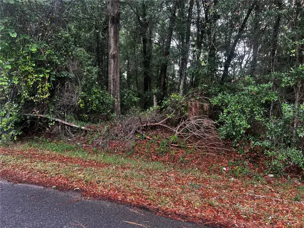 TBD NW 61st Ln., OCALA,, FL 34482